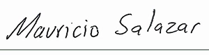 firma mau-300